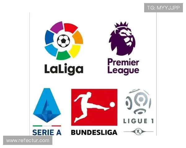 体育竞技五大联赛（体育联赛有哪些）sports
